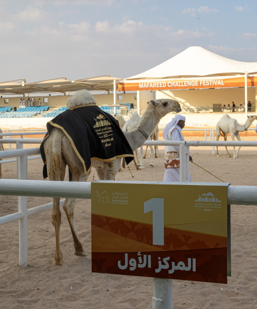  تتويج الفائزين في أشواط المغاتير الوضح بمهرجان التحدي للمفاريد 2 20251108 1762631560 74841