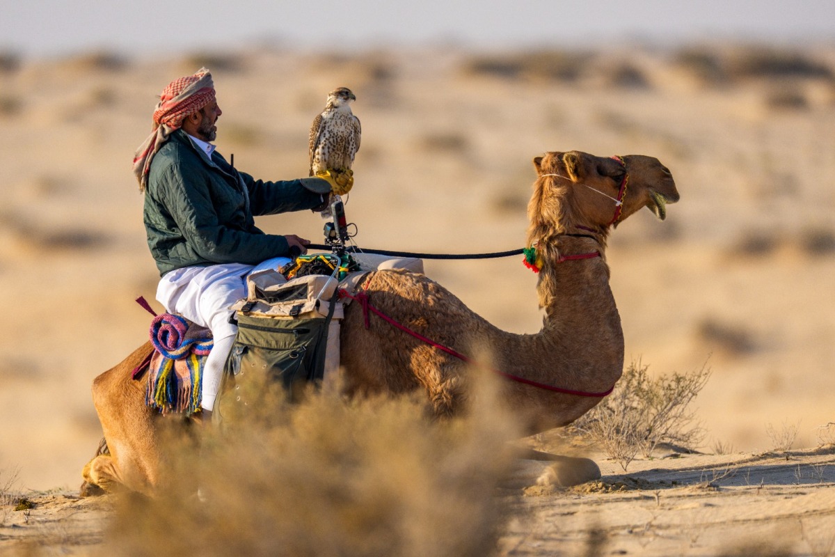  فريق لجلعة يتصدر منافسات المجموعة الثانية في بطولة القلايل 2026 2 20260127 1769546907 643