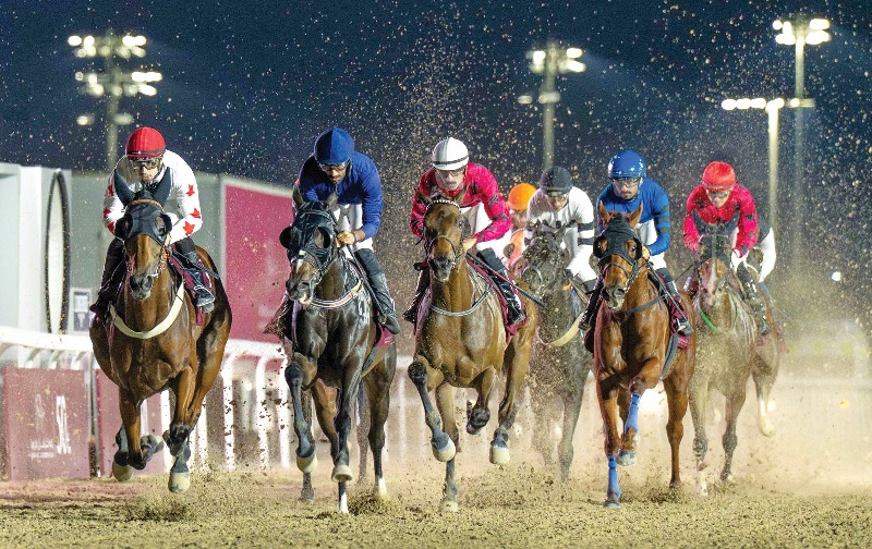  الجواد «عنيف زاخر» يحصد كأس الديبل 2 20260318 1773803727 330