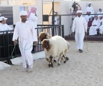 alsharq