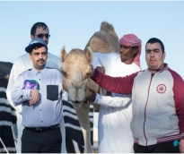 alsharq