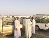 alsharq