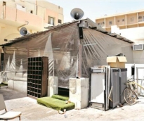 alsharq