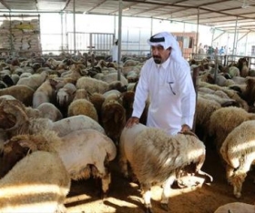 alsharq