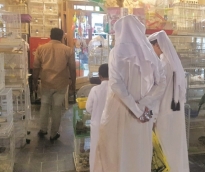alsharq