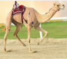 الشرق