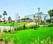 alsharq