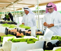 alsharq