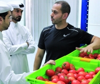 alsharq