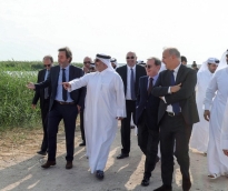 alsharq