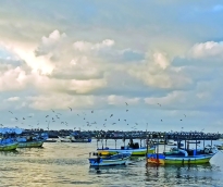 alsharq