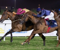 alsharq
