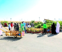 alsharq