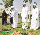 الشرق