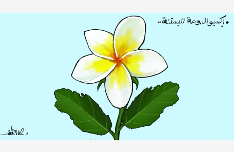 الشرق