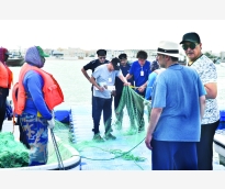 alsharq