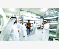 alsharq