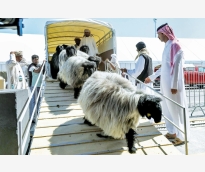 alsharq