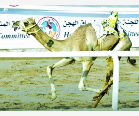 alsharq