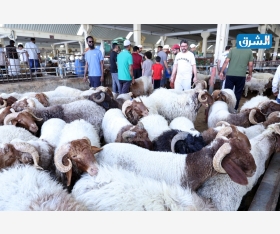 alsharq