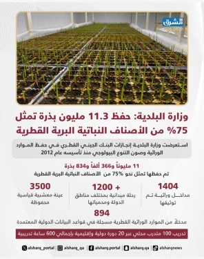 الشرق
