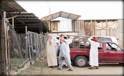 الشرق