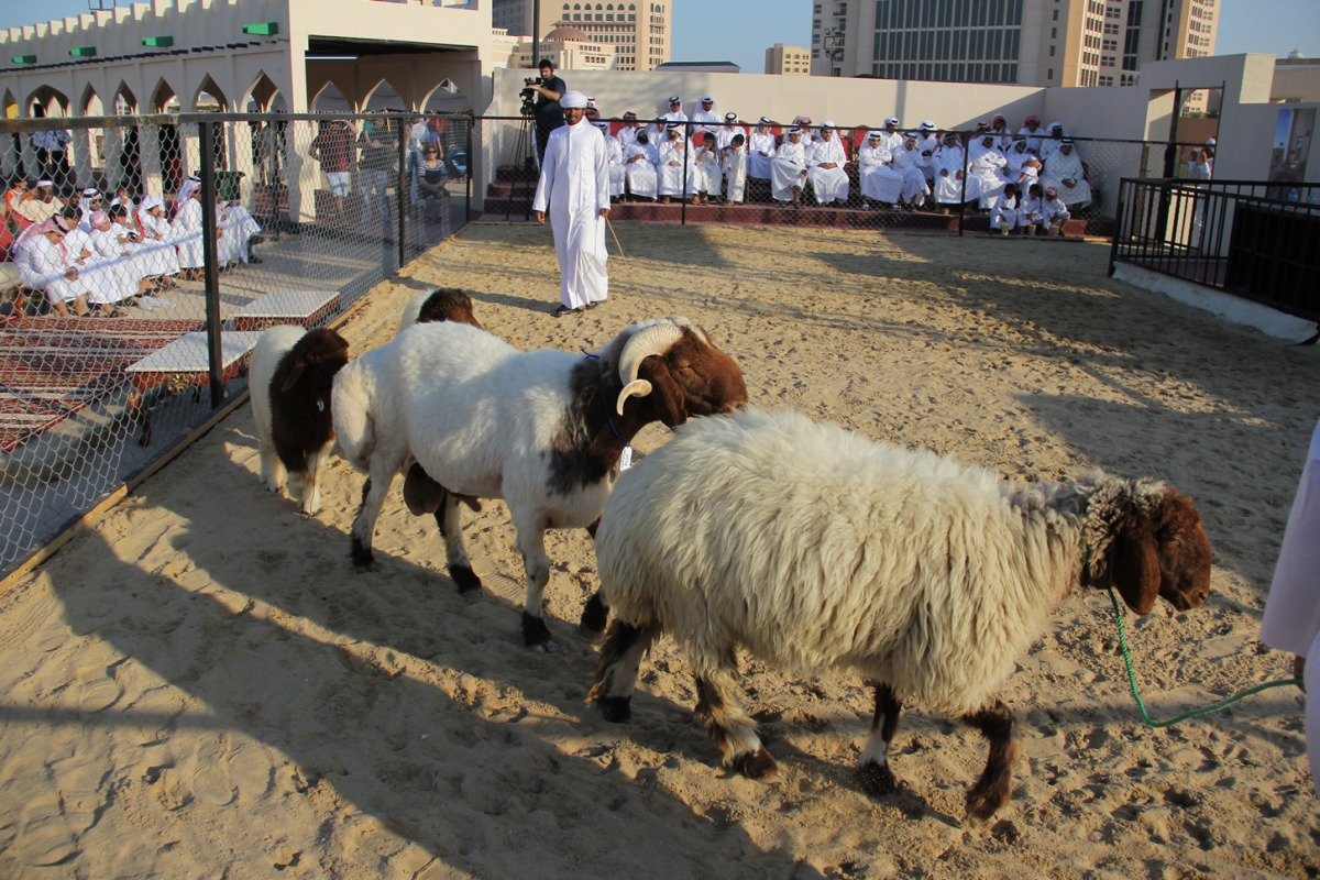 alsharq