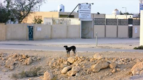 alsharq