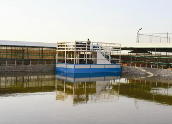 Alsharq