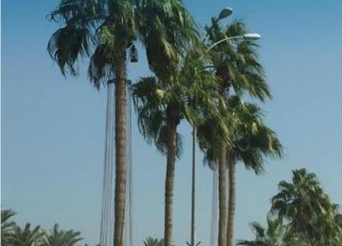 الشرق