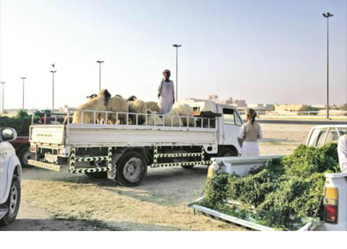 alsharq