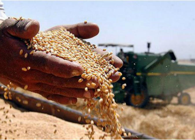 اتفاق بين تركيا وروسيا وأوكرانيا والأمم المتحدة على إنشاء مركز تنسيق لنقل الحبوب