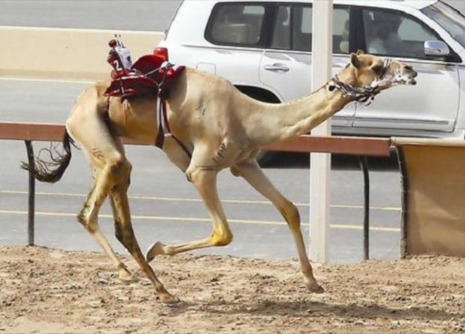الشرق