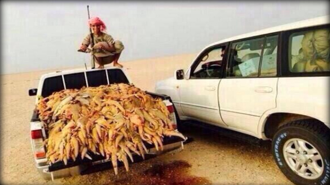 الشرق