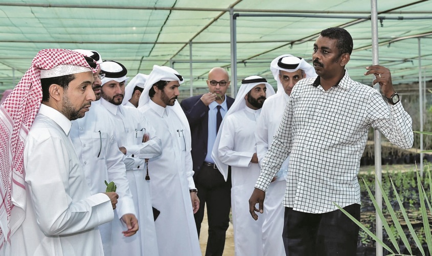 alsharq