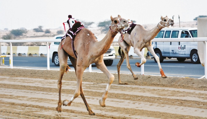 alsharq