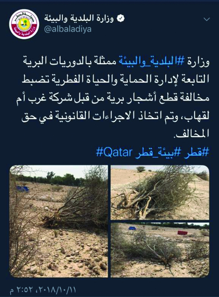 الشرق