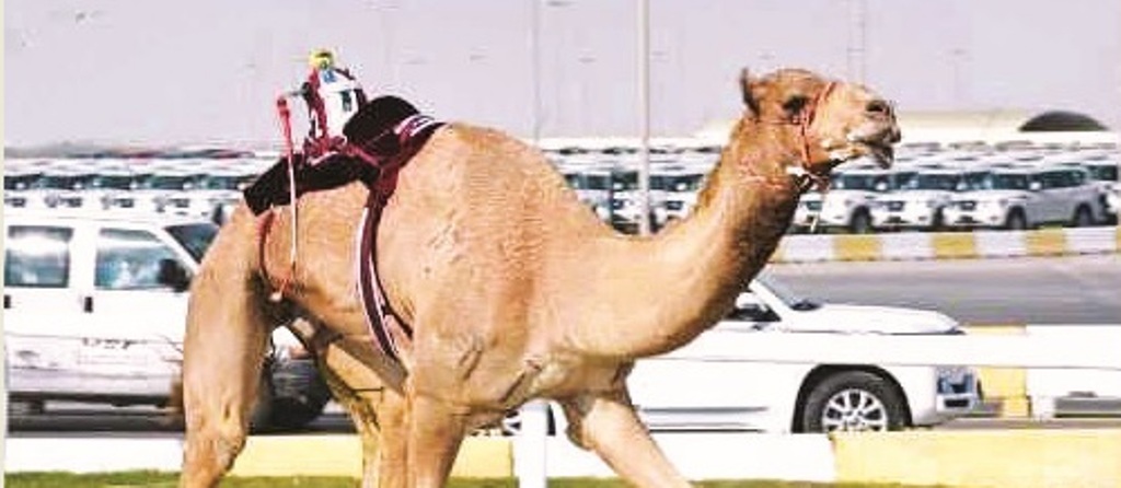 alsharq