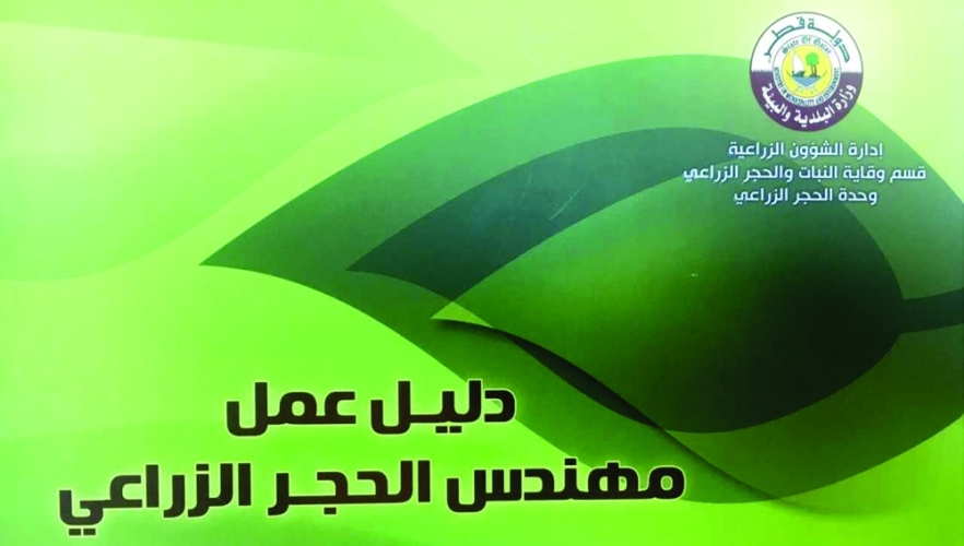                                         غلاف الدليل                                    