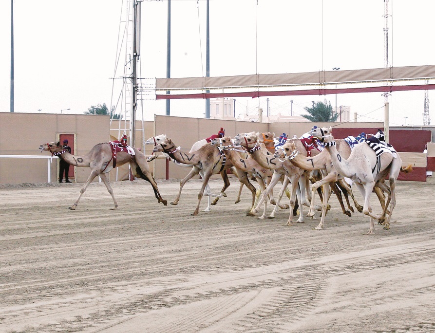alsharq