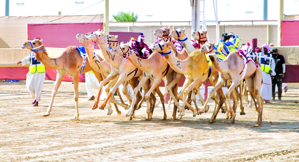 alsharq