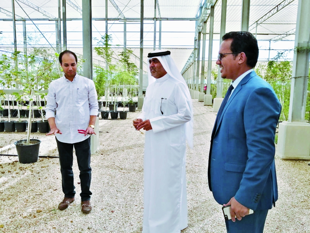 alsharq
