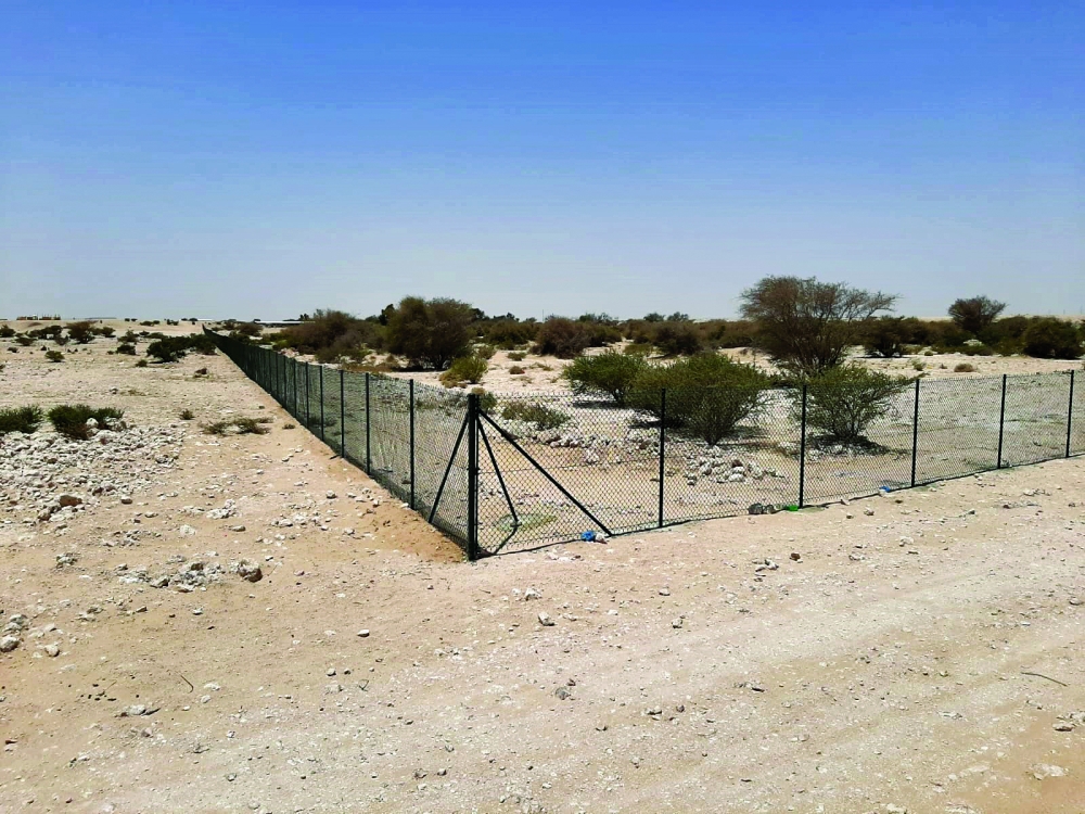 تسوير روضة معيذر الدرب