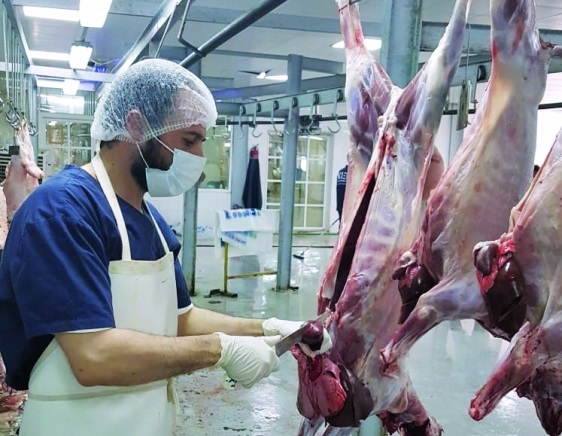 إجراءات صحية داخل المقاصب - صورة أرشيفية