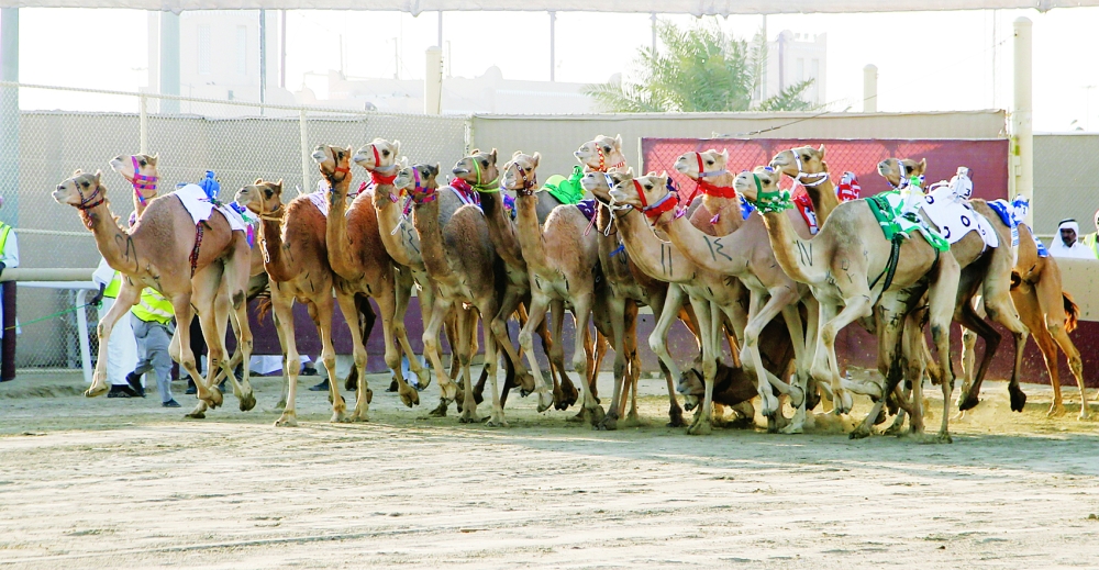 alsharq