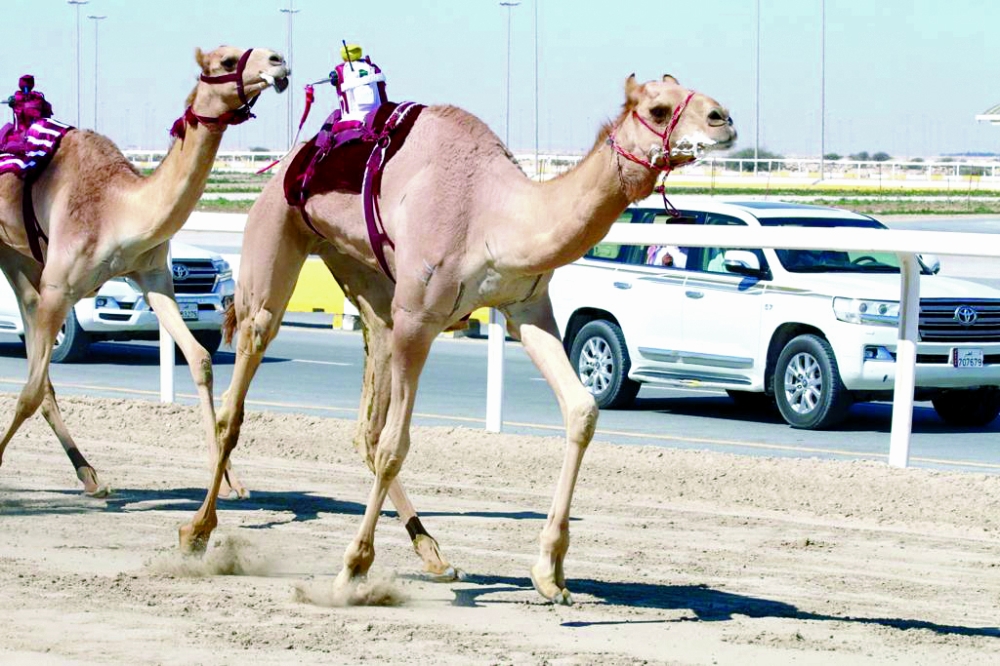 alsharq