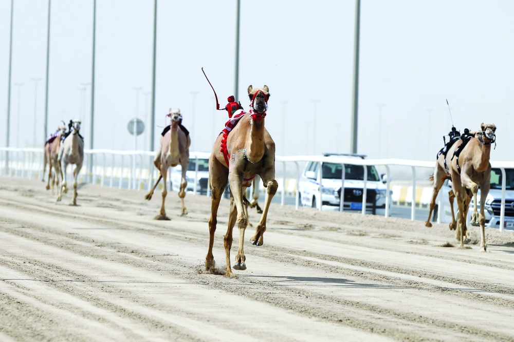alsharq