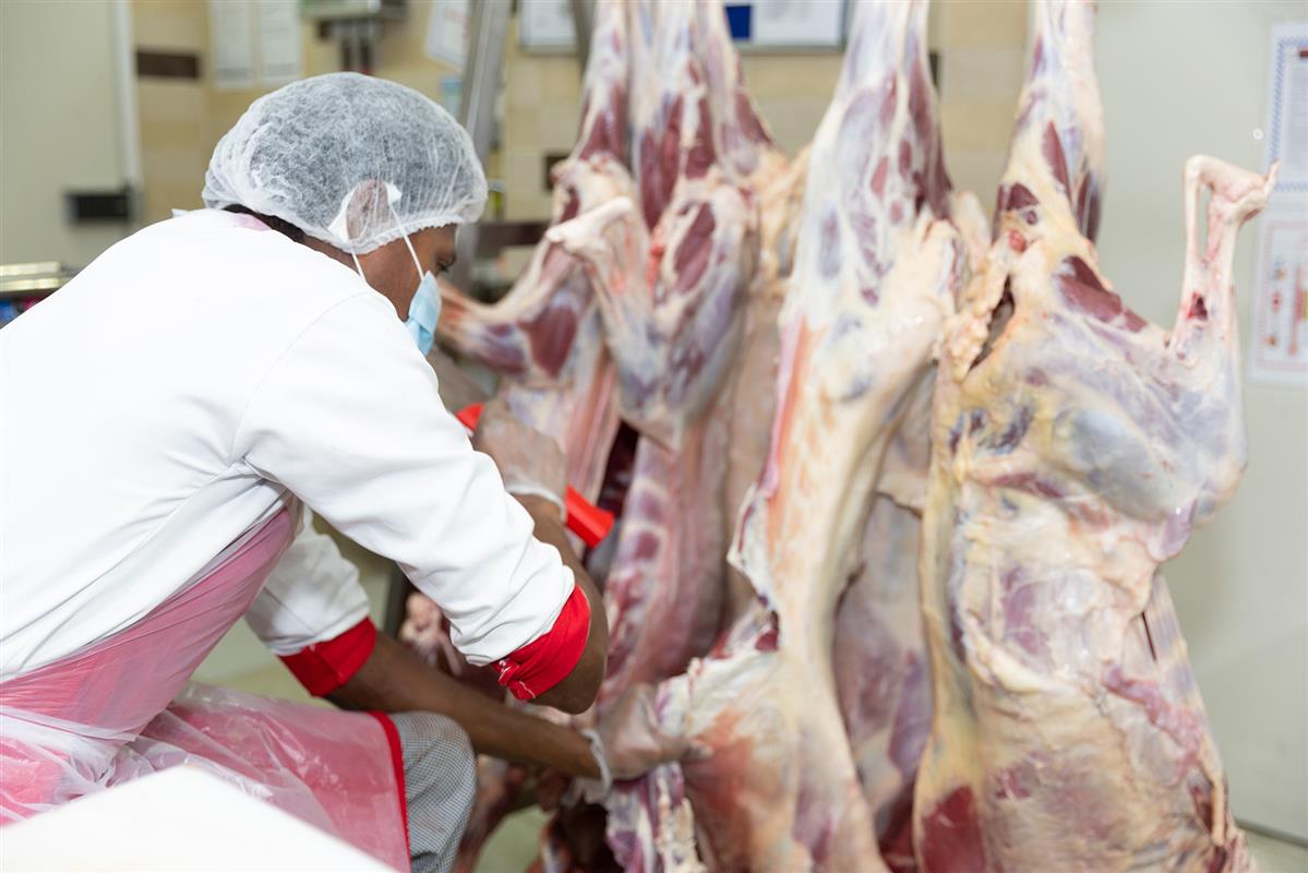 ارتفاع أسعار الأضاحي ينحر بهجة العيد.. تعرّف على أسعار الأضاحي في الدول العربية