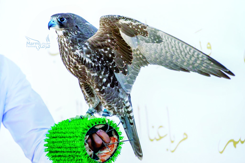 ارتفاع عدد الفائزين والمتأهلين في هدد التحدي بمهرجان مرمي ليصبح 35 متأهلاً