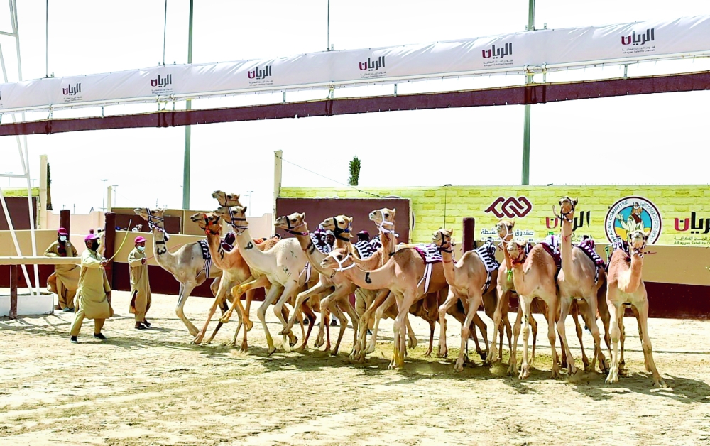 alsharq